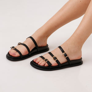 Stipes