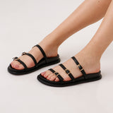 Stipes