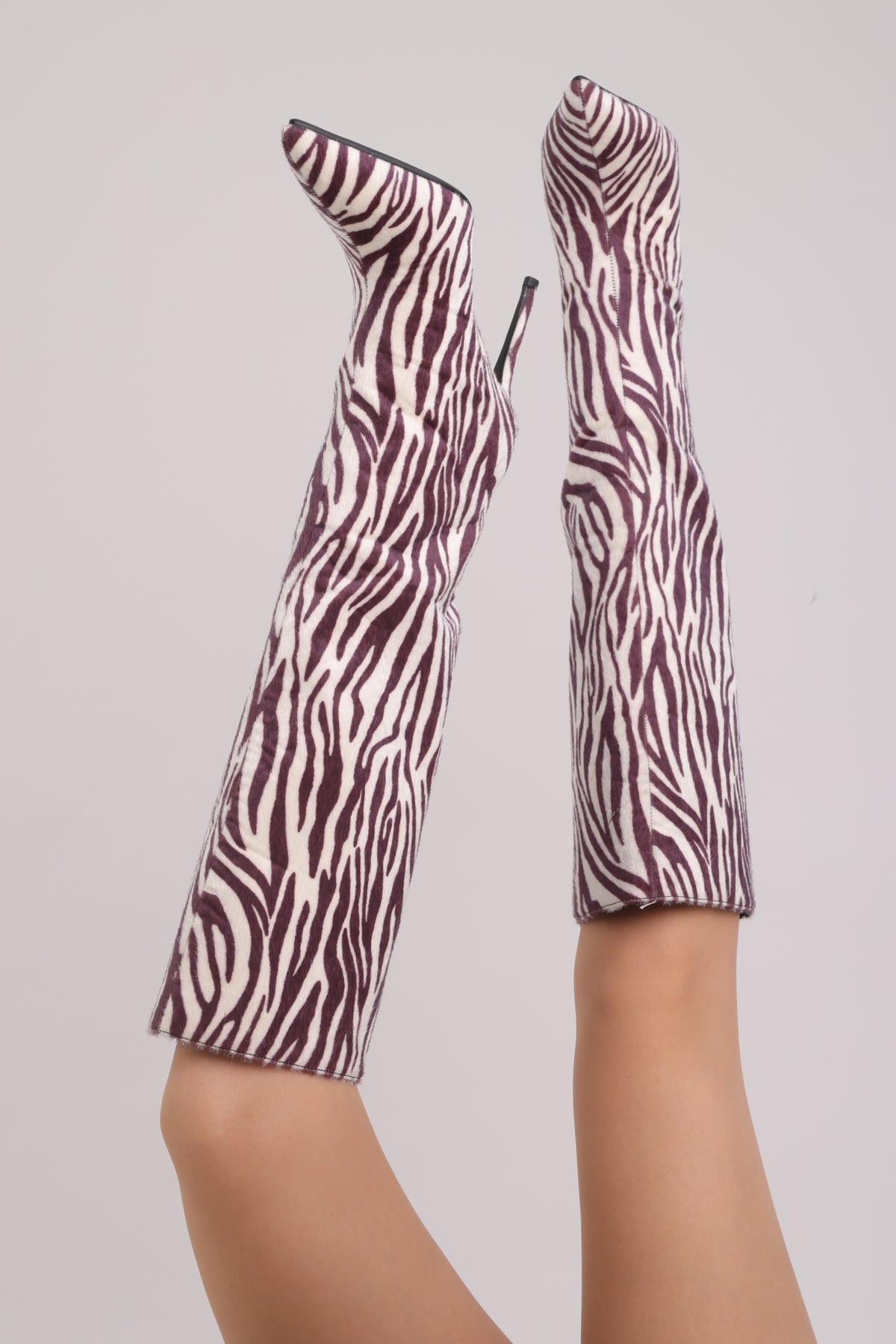 Ines-ZEBRA